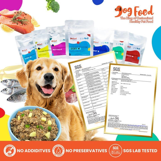 DF Dog Food Fresh Cooked Dog Wet Food 150g