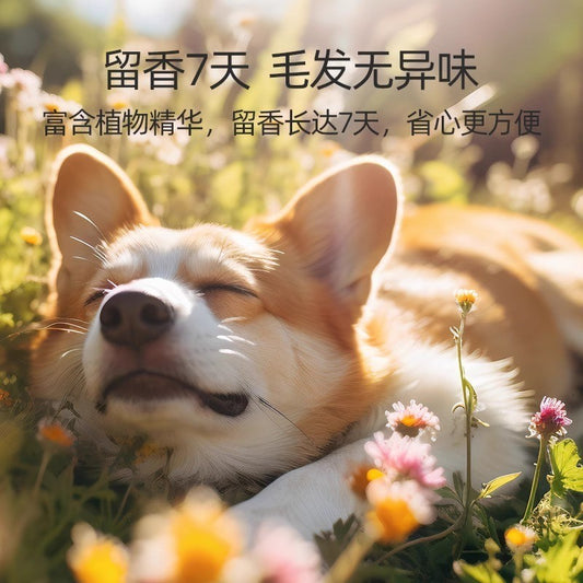HIPIDOG Whitening Shampoo 500ml