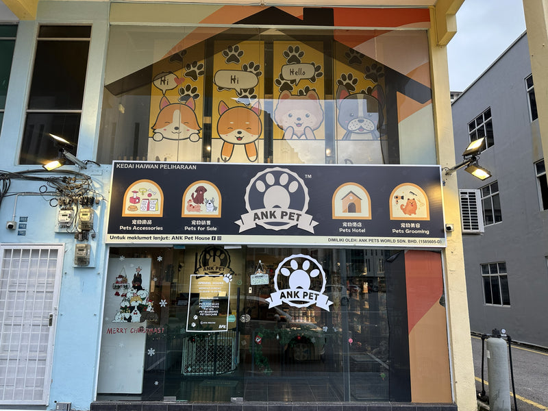 Melaka Raya