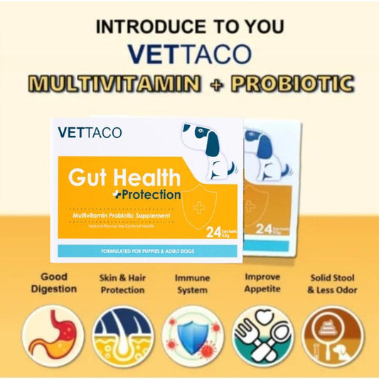 VETTACO Probiotic + Multivitamins (24 sachets)