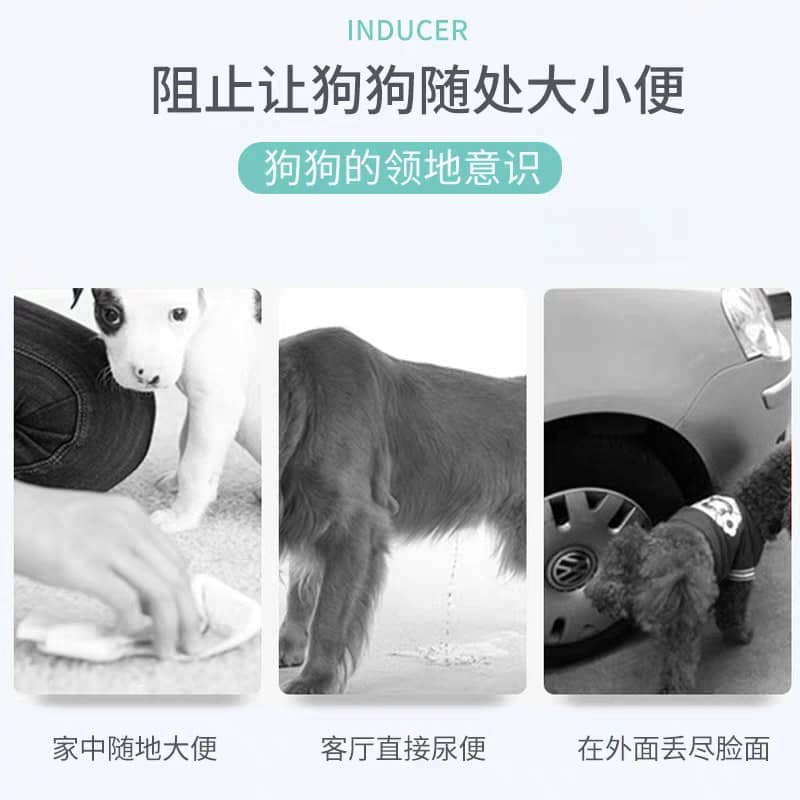 DORRIKEY Pet Inducer 120ML Toilet Training Spray 宠物厕所诱导剂