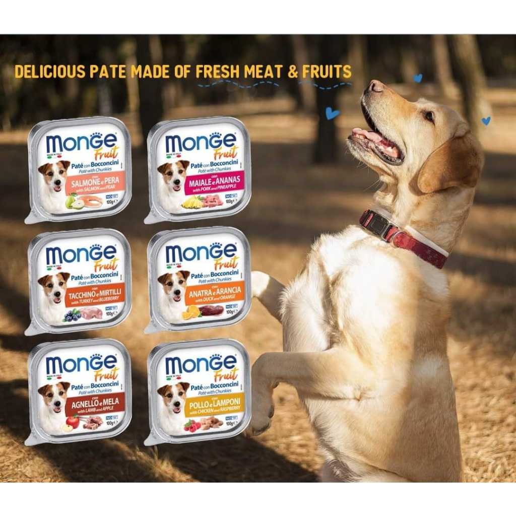 MONGE FRESH / MONGE FRUIT DOG WET FOOD 100G