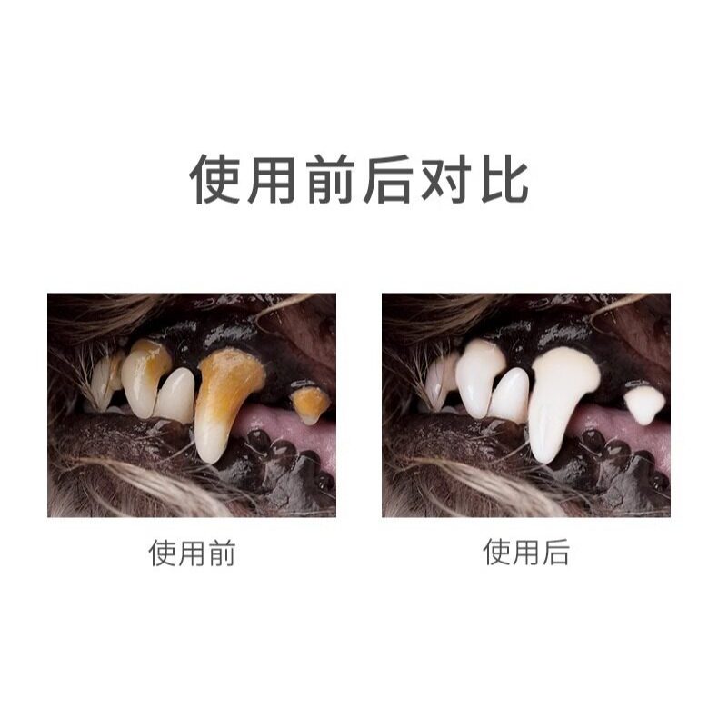 BIOLINE Dog Toothpaste Set 100g Mint or Orange Flavour