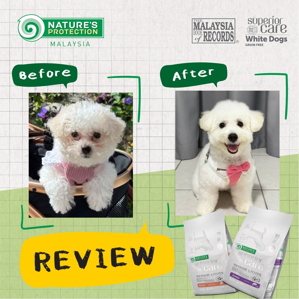 Nature's Protection White Dog Puppy/Adult Salmon Dog Food 10KG
