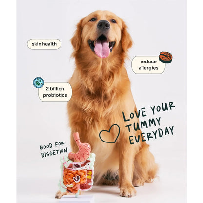 NOTTI DOG FOOD - ALLERGY CARE SLOW BAKED FRESH DUCK & SALMON 1.5KG