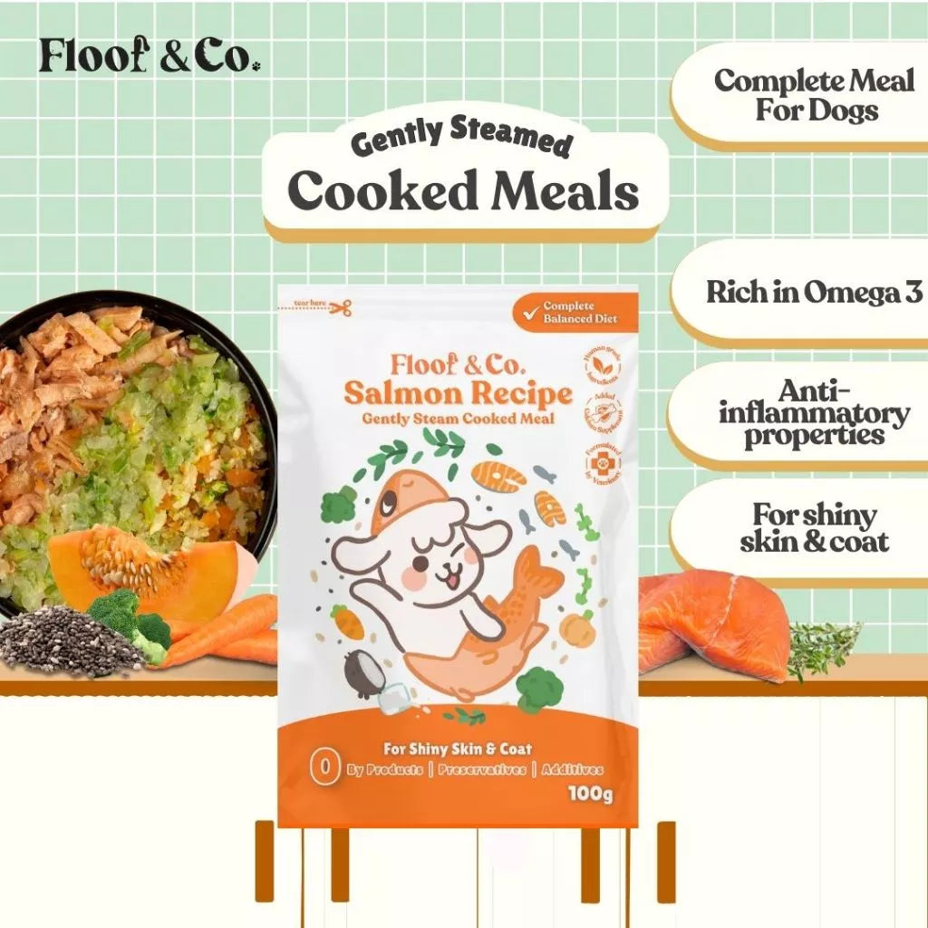 FLOOF & CO. DOG COOKED MEALS 100G