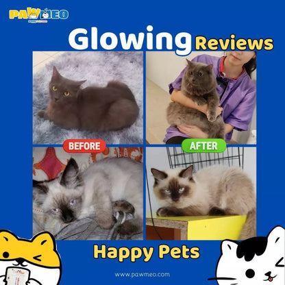 PAWMEO 2 IN 1 PAWBIOTIC + FUR BOOSTER 30'S