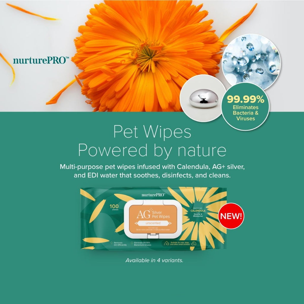 NURTURE PRO AG+ Pet Wet Wipes 10's