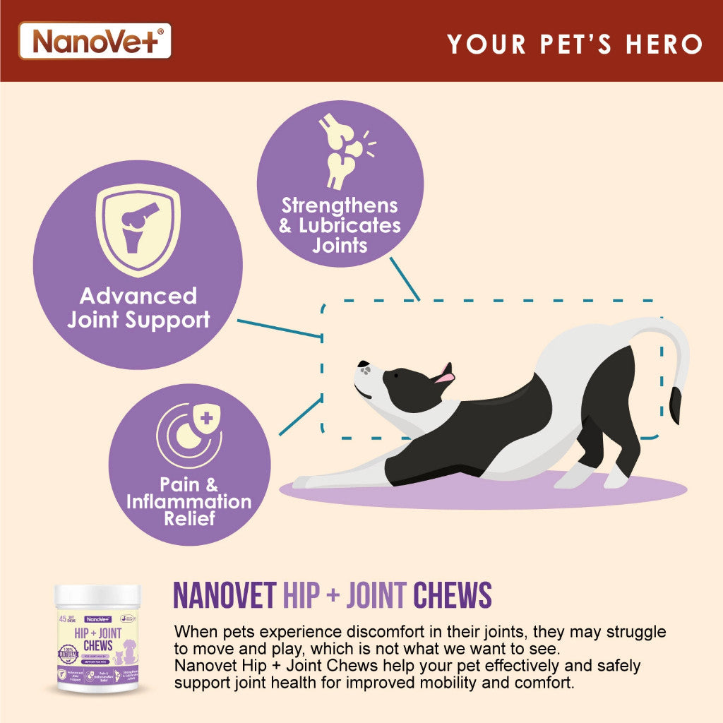 NANOVET HIP + JOINT CHEW (45 CHEW)