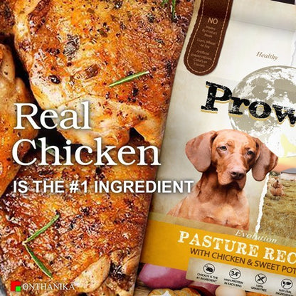Prowild® Evolution High Protein Dog Food 3KG
