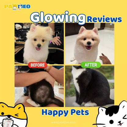 PAWMEO 2 IN 1 PAWBIOTIC + FUR BOOSTER 30'S