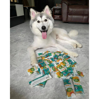 HAPPI DOGGY ZEST / CARE DENTAL CHEW 4" 1PCS