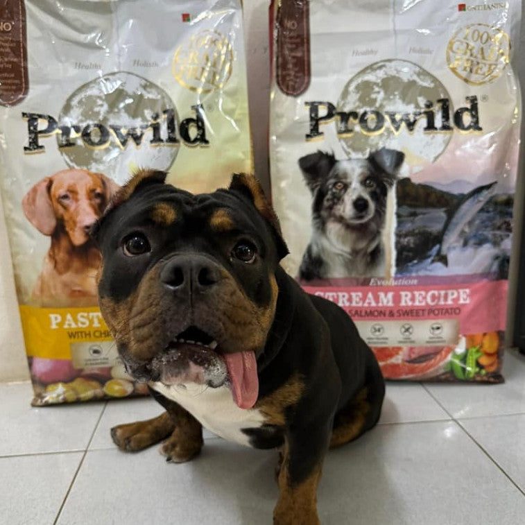 Prowild® Evolution High Protein Dog Food 3KG