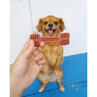 HAPPI DOGGY ZEST / CARE DENTAL CHEW 4" 6PCS / 2.5" 18PCS