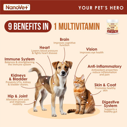 NANOVET MULTIVITAMIN CHEW (45 CHEW)