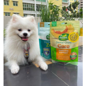 HAPPI DOGGY ZEST / CARE DENTAL CHEW 4" 6PCS / 2.5" 18PCS