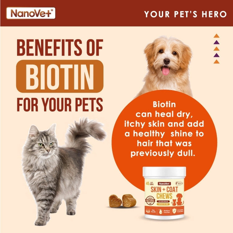 NANOVET SKIN + COAT CHEW (45 CHEW)
