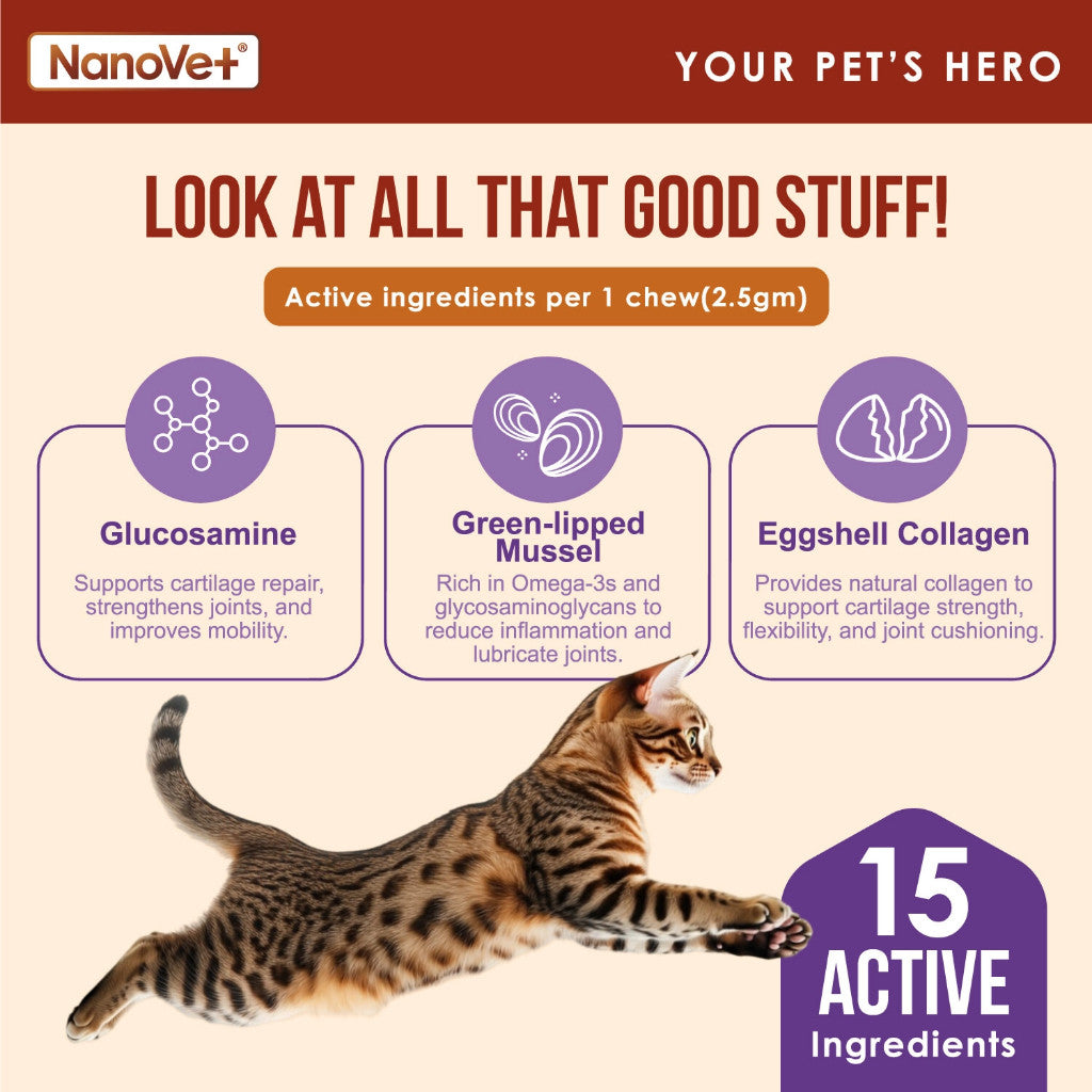NANOVET HIP + JOINT CHEW (45 CHEW)