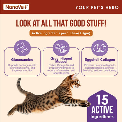 NANOVET HIP + JOINT CHEW (45 CHEW)