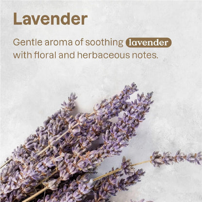 ATTITUDE 2IN1 Pet Shampoo & Conditioner - Nourishing Lavender 473ML