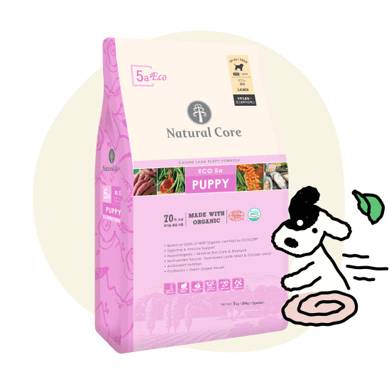 NATURAL CORE DOG FOOD - ECO6 SENSITIVE SALMON 1KG