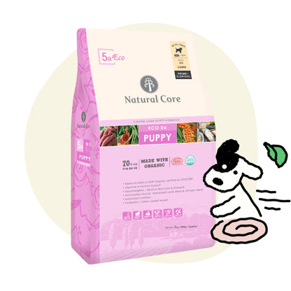 NATURAL CORE DOG FOOD - ECO6 SENSITIVE SALMON 1KG