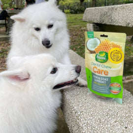 HAPPI DOGGY ZEST / CARE DENTAL CHEW 4" 6PCS / 2.5" 18PCS