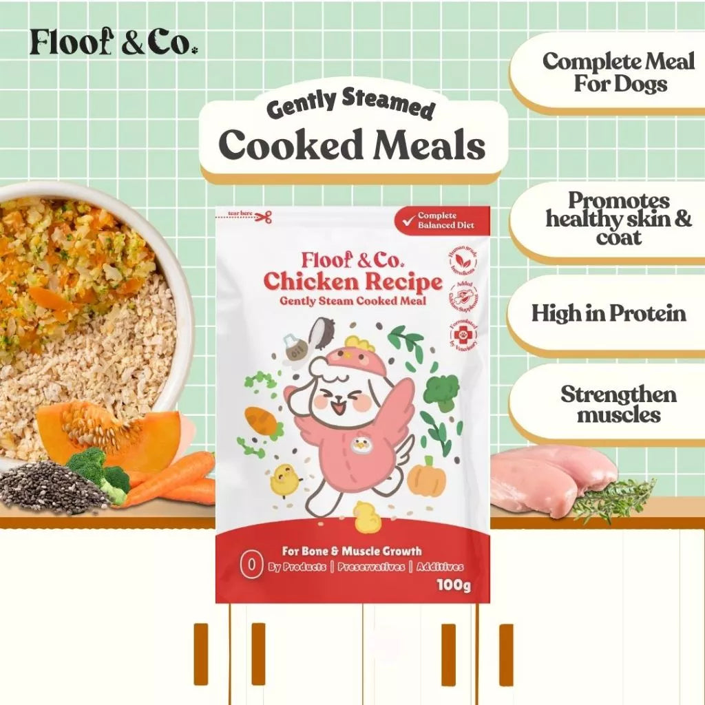 FLOOF & CO. DOG COOKED MEALS 100G