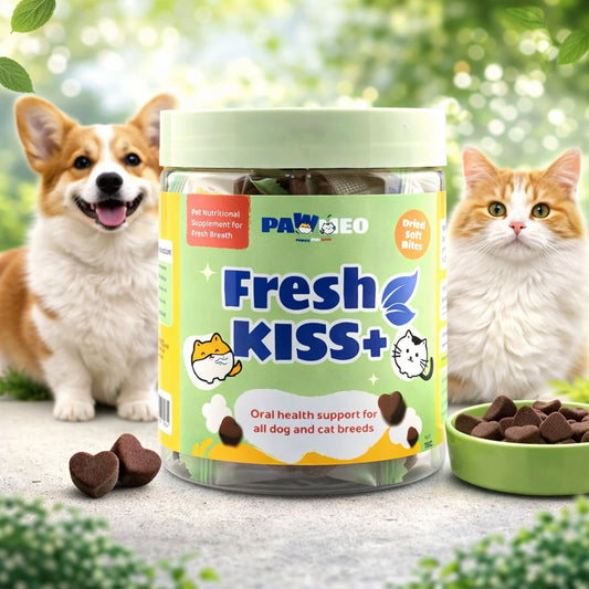 PAWMEO FRSH KISS+ DRIED SOFT BITES