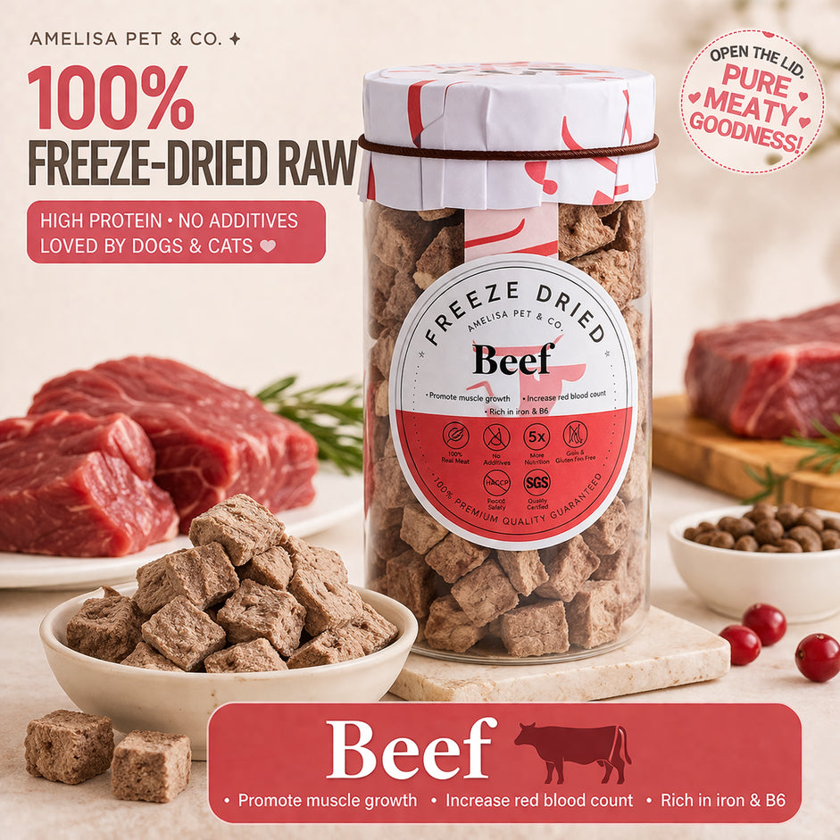 AMELISA PET RAWLY BITES FREEZE DRIED TREATS