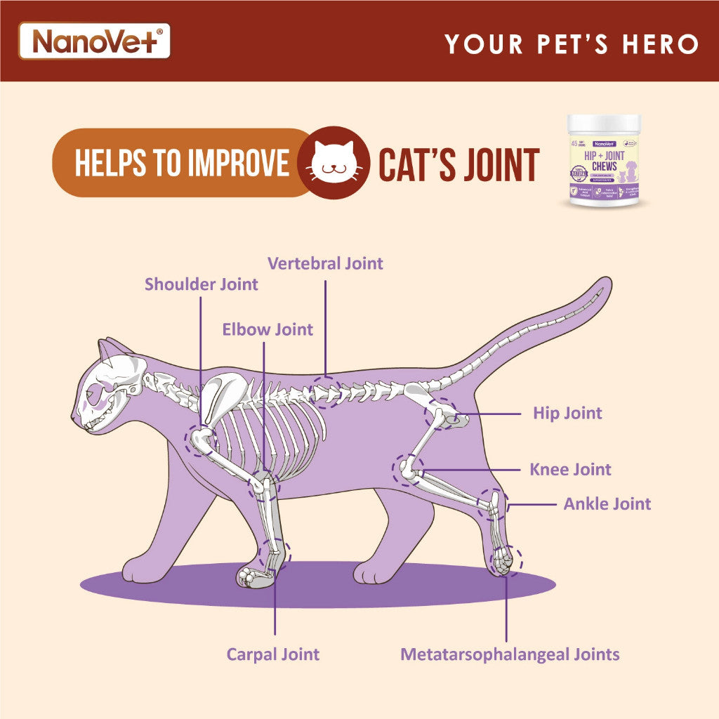 NANOVET HIP + JOINT CHEW (45 CHEW)