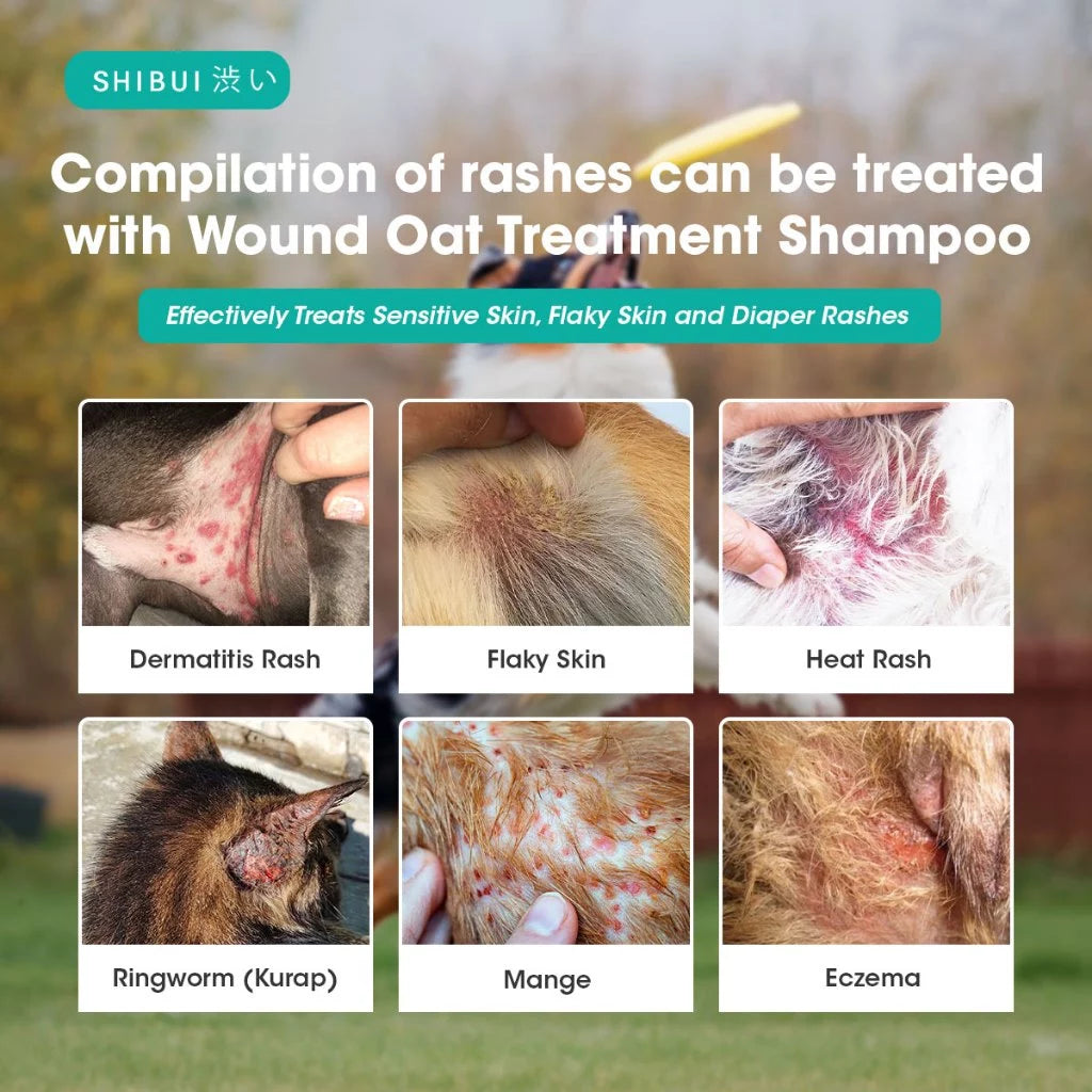 SHIBUI 3IN1 OAT SHAMPOO 500ML | Gentle Cleansing | Skin & Coat Care 燕麦宠物保湿沐浴露