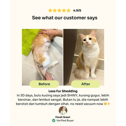 NOTTI CAT FOOD - SLOW BAKED FRESH CHICKEN & TUNA 1.5KG