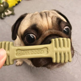 HAPPI DOGGY ZEST / CARE DENTAL CHEW 4" 1PCS