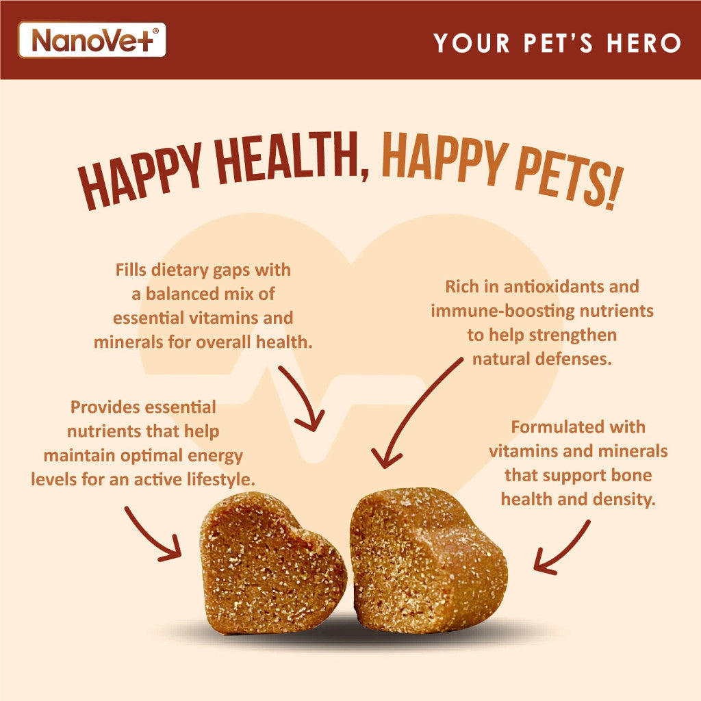 NANOVET MULTIVITAMIN CHEW (45 CHEW)