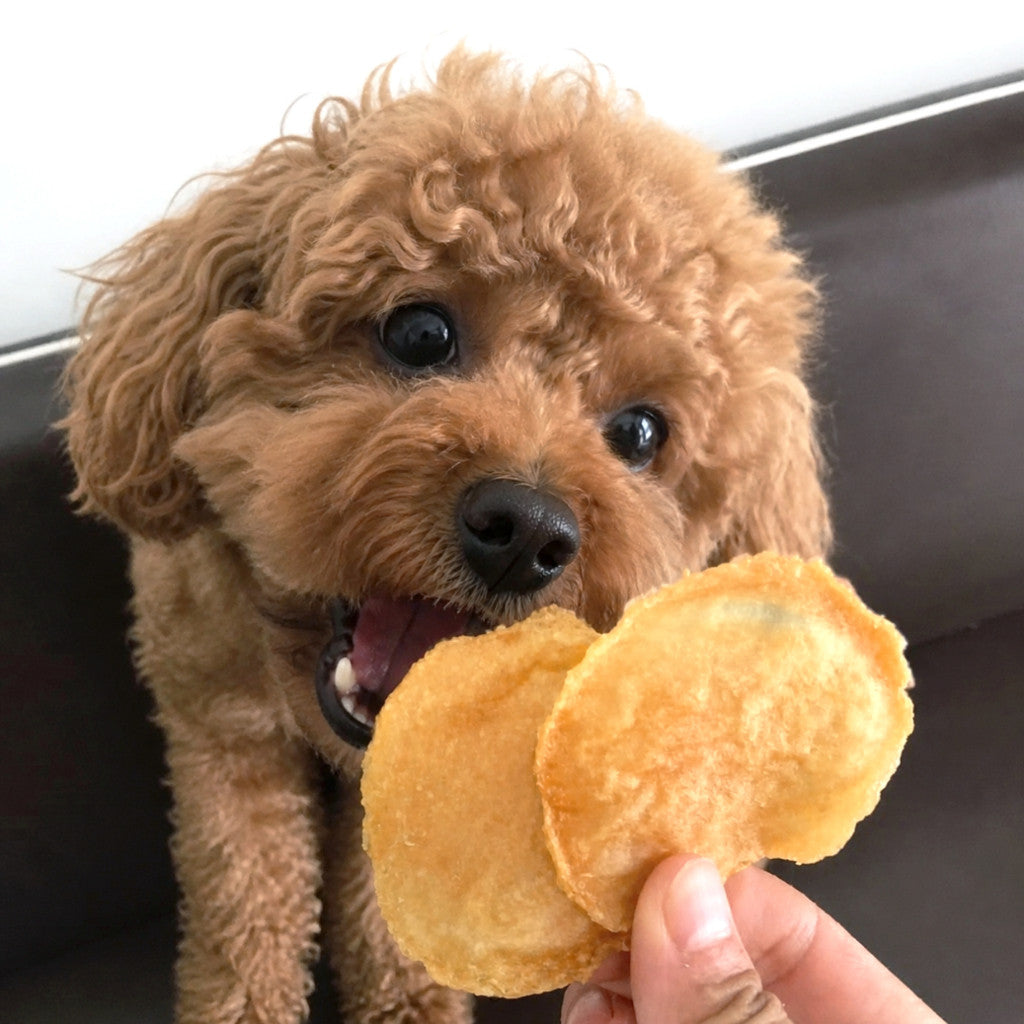 ANK Pets Crispy Bites - Natural Nutritious Pet Chips