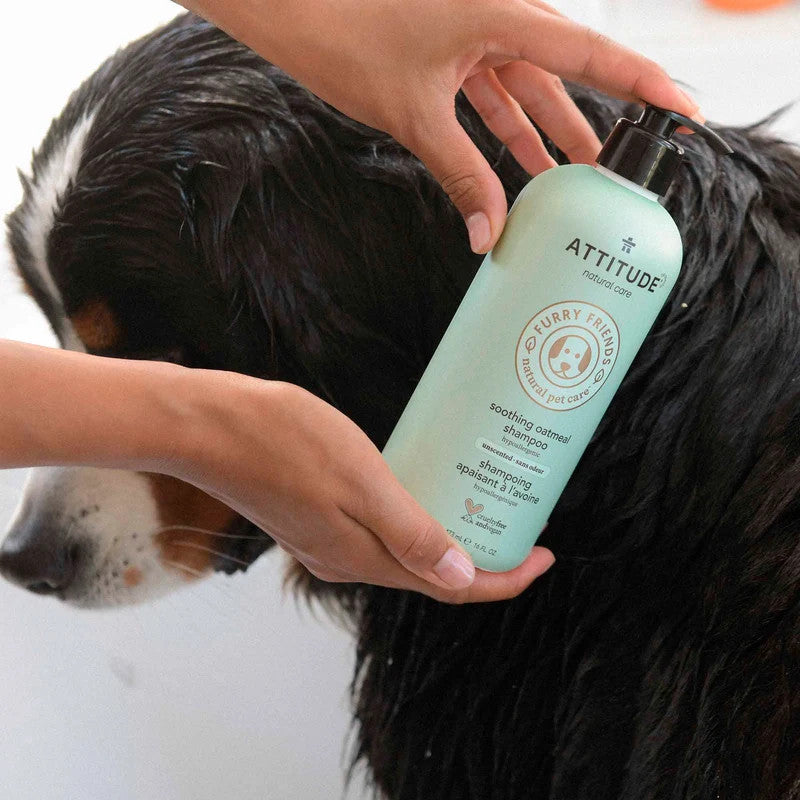 ATTITUDE Soothing Oatmeal Shampoo 473ML