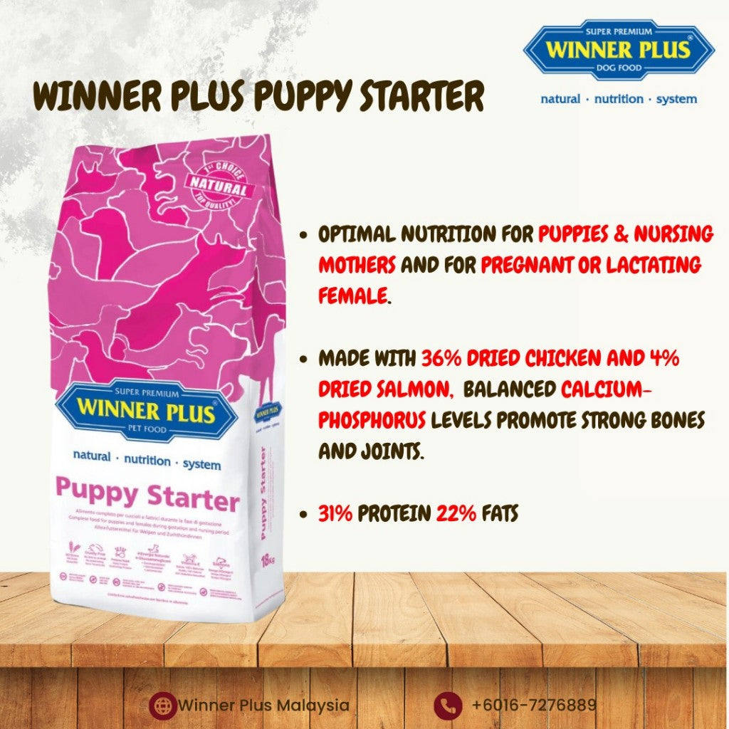 WINNER PLUS PUPPY STARTER 6KG