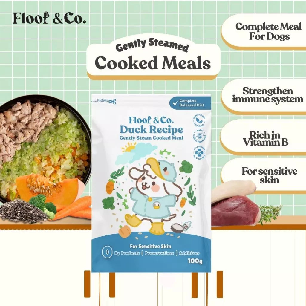 FLOOF & CO. DOG COOKED MEALS 100G
