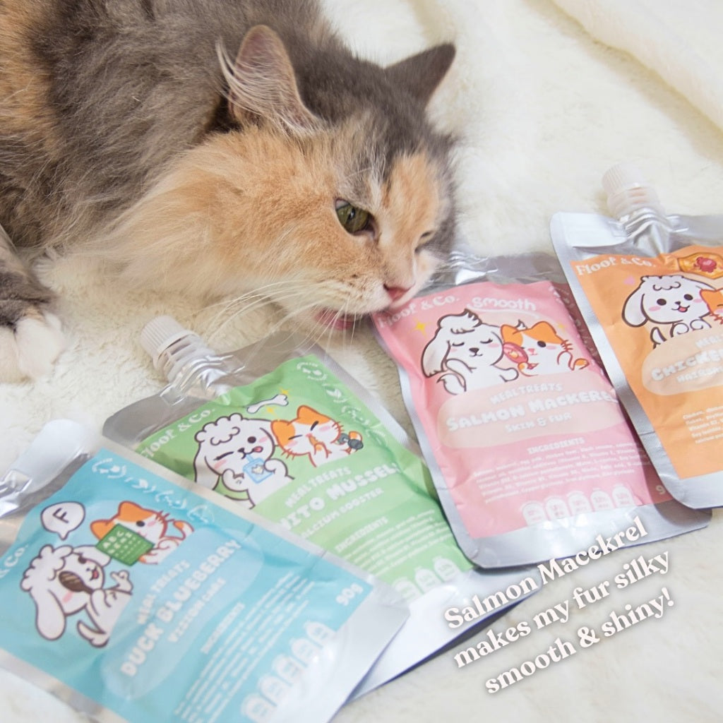 FLOOF & CO. LICKABLES 50G