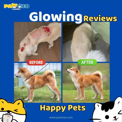 PAWMEO 2 IN 1 PAWBIOTIC + FUR BOOSTER 30'S