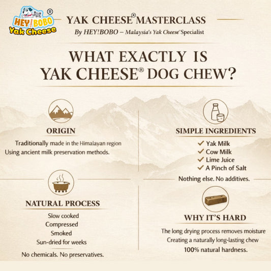 HEY BOBO YAK CHEESE NATURAL MOLAR STICK