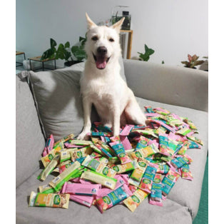 HAPPI DOGGY ZEST / CARE DENTAL CHEW 4" 1PCS