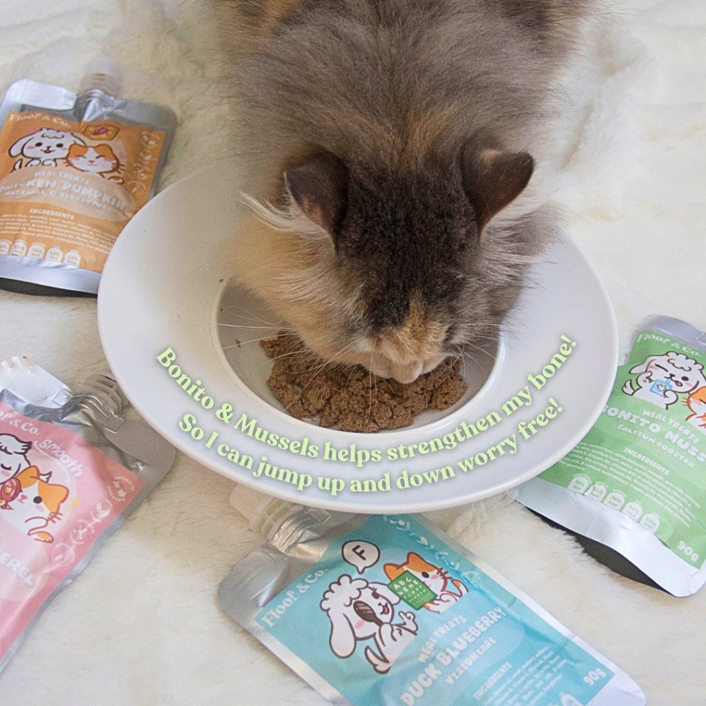 FLOOF & CO. LICKABLES 50G