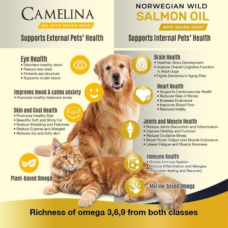 Petto Salmon Oil / Camelina Oil 250ml / 500ml