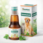 HIMALAYA IMMUNOL LIQUID 100ML