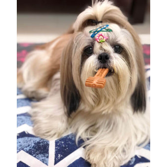HAPPI DOGGY ZEST / CARE DENTAL CHEW 4" 6PCS / 2.5" 18PCS