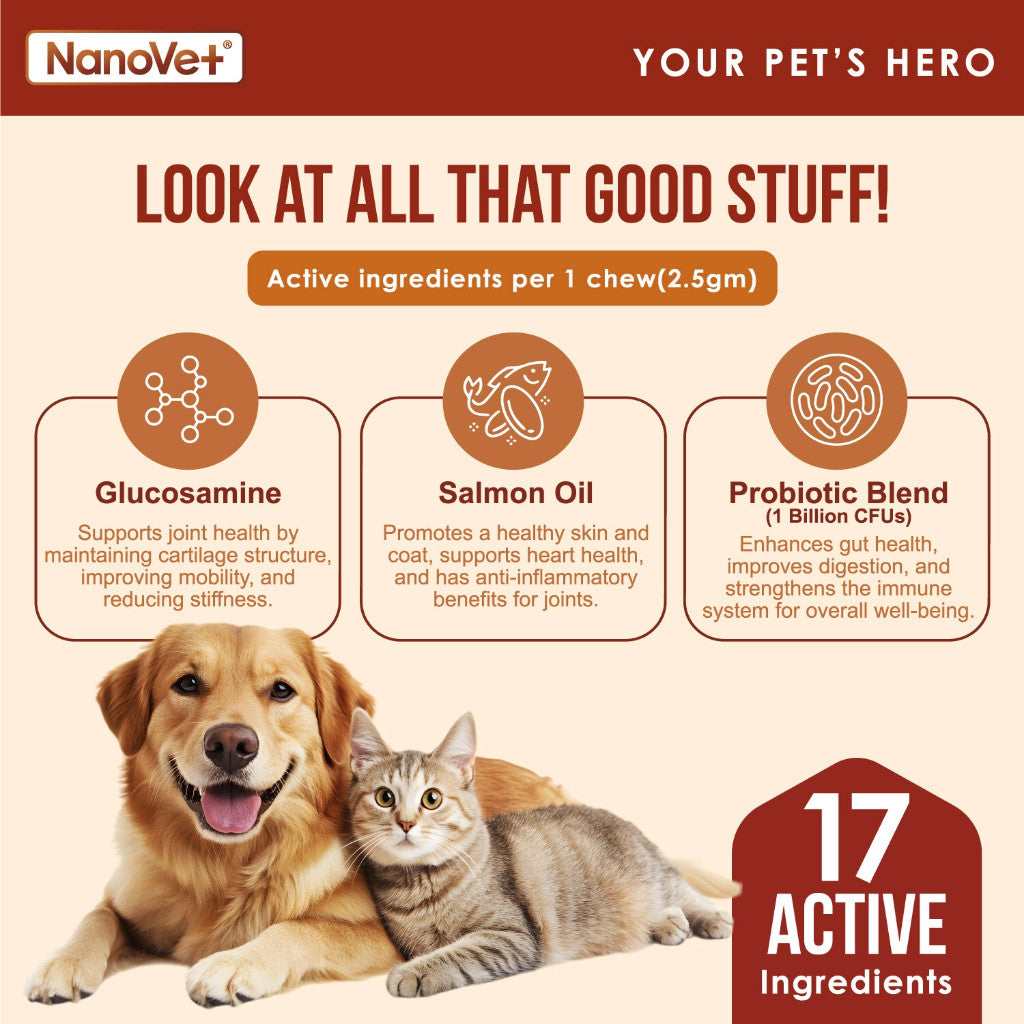 NANOVET MULTIVITAMIN CHEW (45 CHEW)