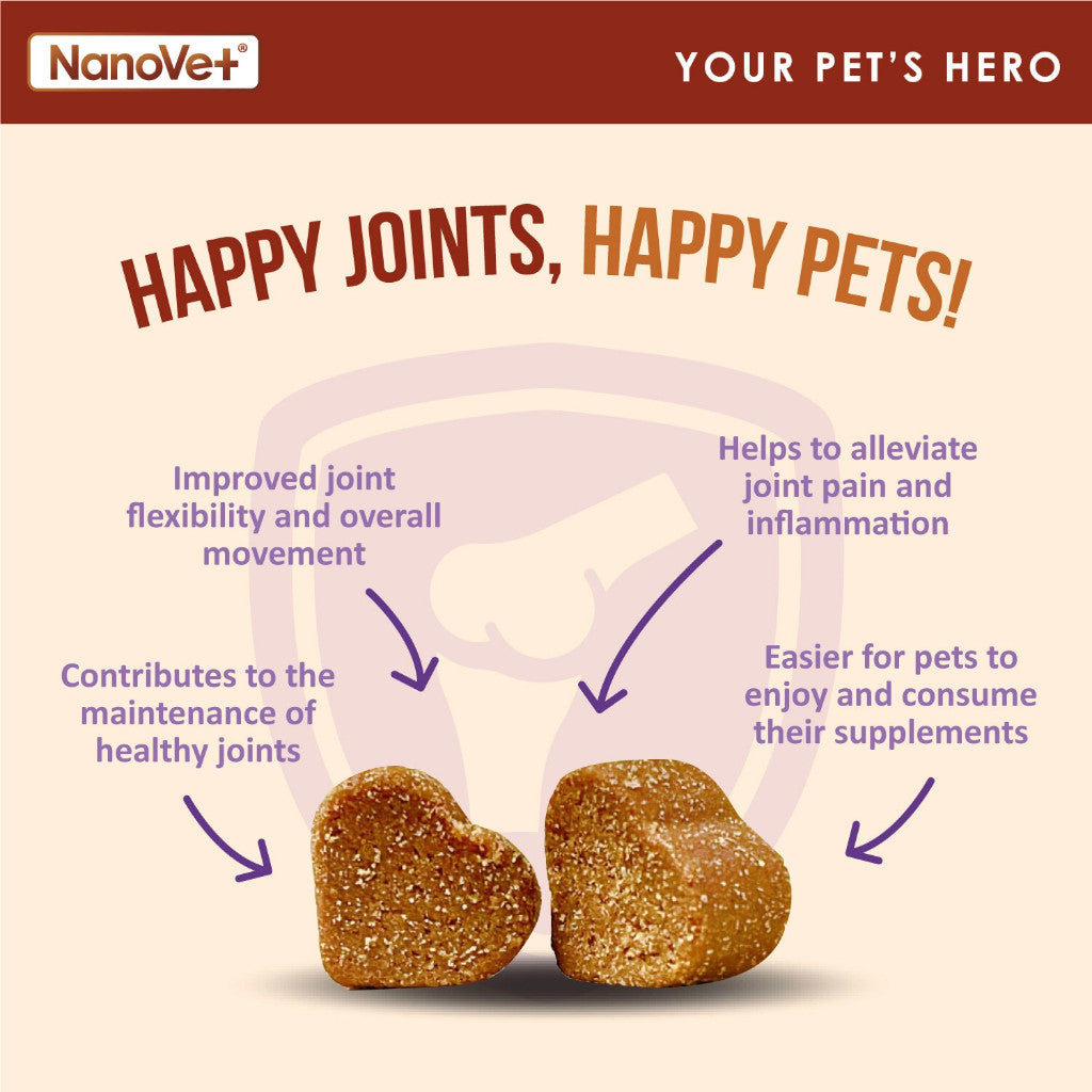 NANOVET HIP + JOINT CHEW (45 CHEW)