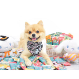 HAPPI DOGGY ZEST / CARE DENTAL CHEW 4" 1PCS